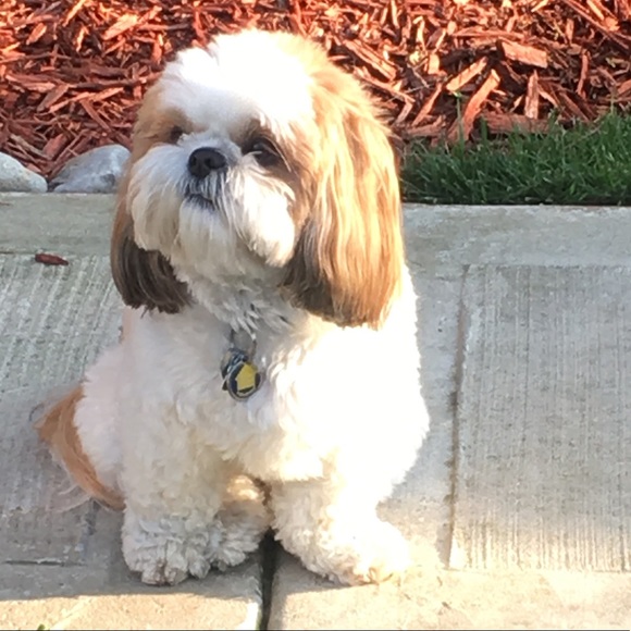 Meet your Posher, zzz - Picture 3 of 3